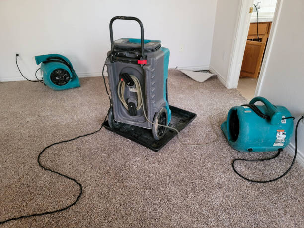 Best Water damage restoration services  in Enlow, PA