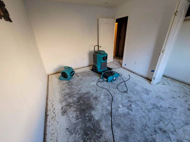 Best 24-hour water damage restoration  in Enlow, PA