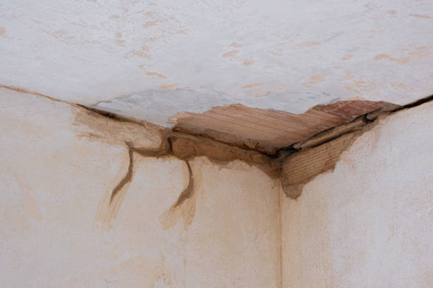 Best Water damage restoration near me  in Enlow, PA
