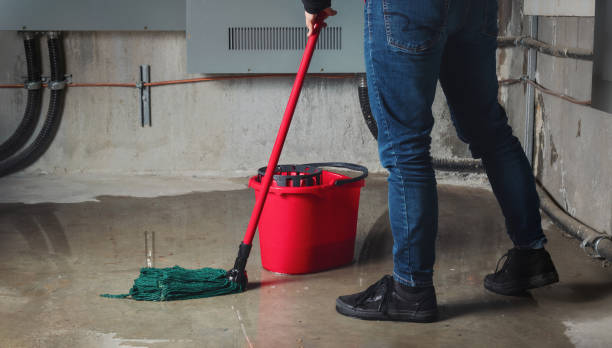 Trusted Enlow, PA Water damage restoration Experts
