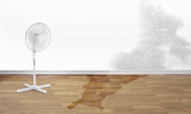 Best Water damage restoration near me  in Enlow, PA
