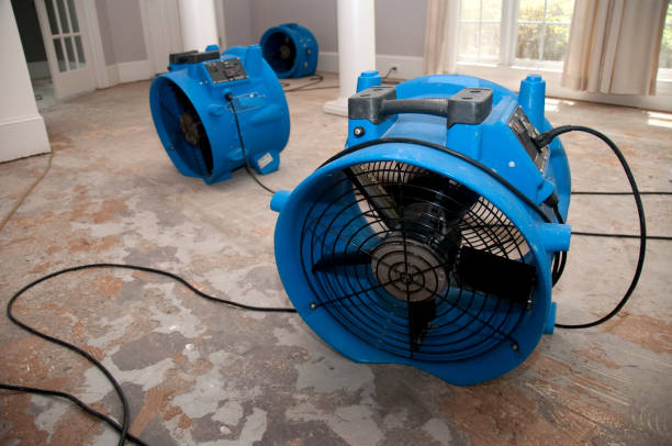 Best Water damage mitigation services  in Enlow, PA