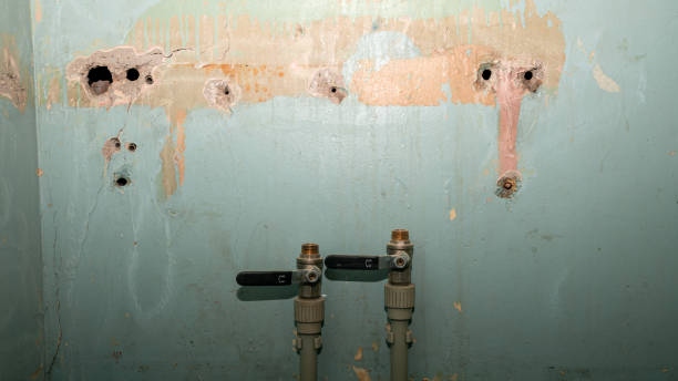 Best Water damage restoration specialists  in Enlow, PA