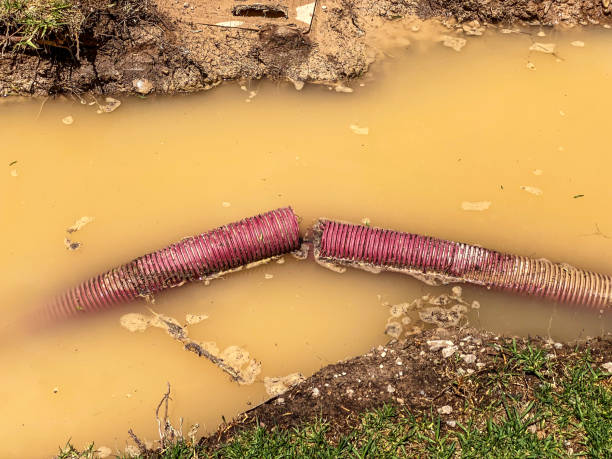 Best Sewage cleanup and water damage restoration  in Enlow, PA