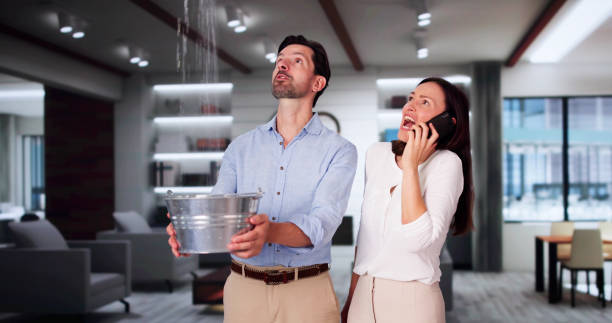 Best Mold removal after water damage  in Enlow, PA