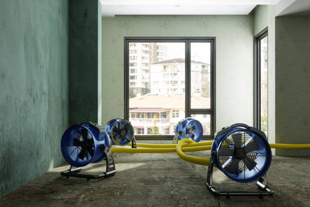 Best Local water damage restoration  in Enlow, PA